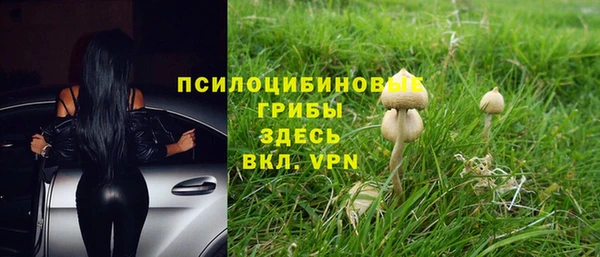 МДПВ Заволжск