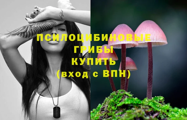 ALPHA PVP Заводоуковск